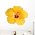 thumbnail image 1 of Yellow Hibiscus White Wall Decal by Wallmonkeys Peel and Stick Graphic (36 in W x 26 in H) WM151255, 1 of 4