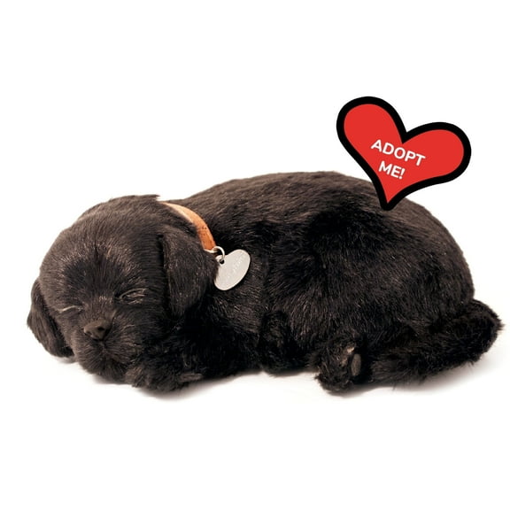 Perfect Petzzz - Original Petzzz Black Lab, Realistic, Lifelike Stuffed Interactive Pet Toy, Companion Pet Dog with 100% Handcrafted Synthetic Fur