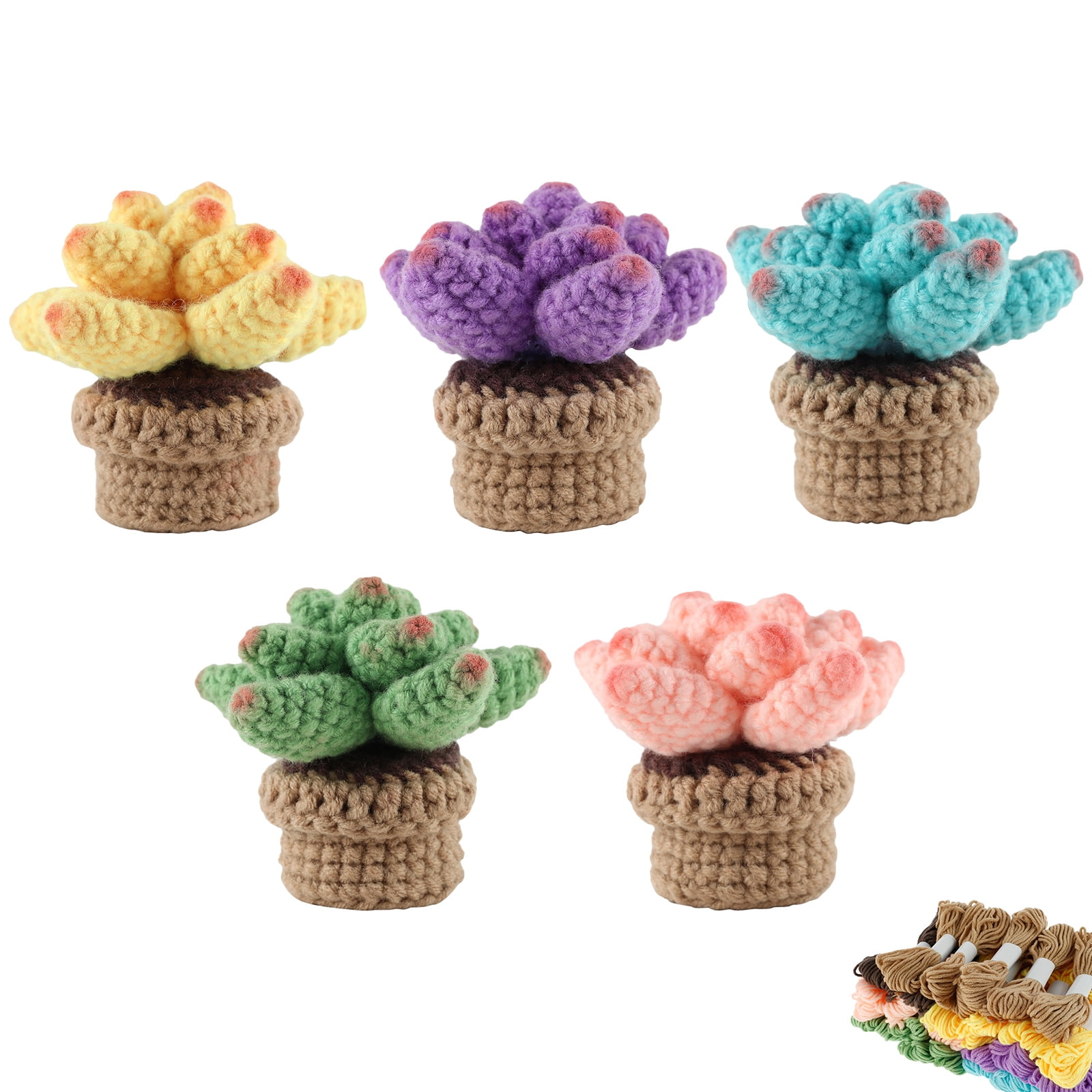 TENGYES Crochet Kit for Beginners - 5pcs Succulents, Beginner Crochet Starter Kits for Complete Beginners Adults and Kids, CR