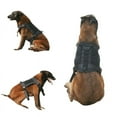 thumbnail image 4 of Pet Outdoor Chest Back Nylon Traction Rope Vest ClothesYOUYOU, 4 of 4