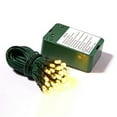 thumbnail image 1 of Vickerman X11G251 50Lt Capteur de Minuterie BO Wa LED WmWht-Gw 5 Po., 1 of 1