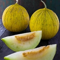 Organic Casaba Sungold Melon - 1 g ~30 Seeds - Organic, Non-GMO, Open Pollinated - Farm & Garden Vegetable/Fruit Gardening Seeds