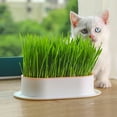 thumbnail image 4 of 3 cajas prácticas para plantas de gatos, cómodas y prácticas para el hogar, para viveros y plantas de gatos., 4 of 6