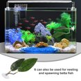 thumbnail image 3 of unbranded De Hoja De Plástico Para Betta Y Segura Con Ventosas, 3 of 8