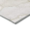 thumbnail image 2 of Addison Rugs Machine Washable Indoor/ Outdoor Abstract Chantille Rug 10' x 14' - Beige, 2 of 5