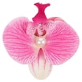 thumbnail image 1 of BRIGHTFUFU Exquisita pinza para el pelo de orquídea y mariposa, pasador de flores artificiales realista, elegante accesorio para el pelo de Phalaenopsis para bodas, fiestas y uso diario, 1 of 1