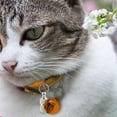 thumbnail image 5 of Collier Ajustable pour Chat : Collier en Nylon, Collier Réfléchissant pour Animaux, Collier avec Clochette, Parfait pour la Nuit, 5 of 5