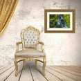 thumbnail image 3 of Illg, Cathy and Gordon 14x11 Gold Ornate Wood Framed with Double Matting Museum Art Print Titled - Colorado, San Juan Mts Mossy hillside, 3 of 4