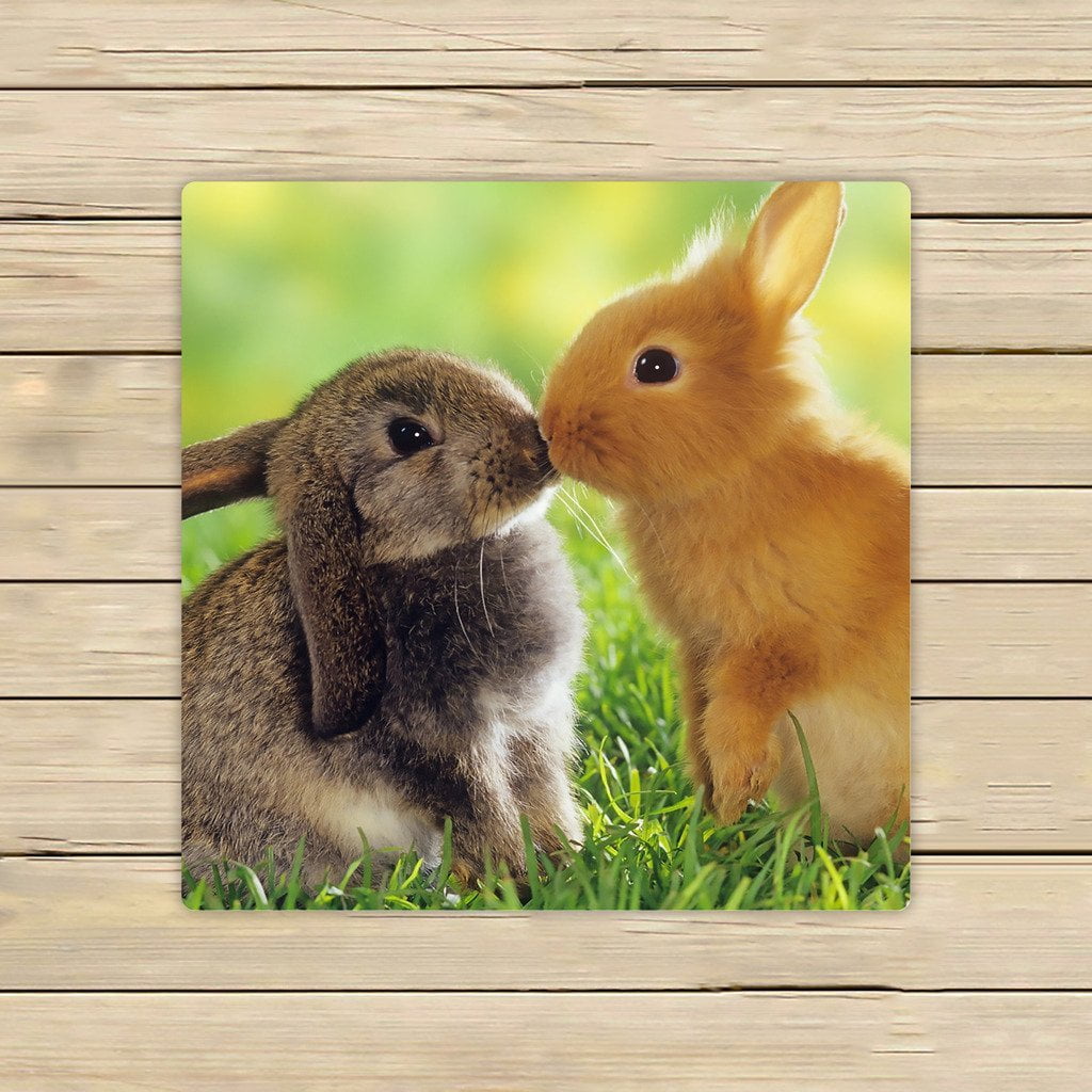 GCKG A pair of cute fluffy bunny Rabbits Towels,Beach Bath Pool Sprot