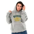 thumbnail image 3 of Wisconsin Say Cheese State Shape Unisex Plus Fleece Graphic Hoodie Brisco Brands 2X, 3 of 5