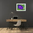 thumbnail image 3 of Bonin, Suzanne 32x25 White Modern Wood Framed Museum Art Print Titled - Purple Morning Glories, 3 of 4