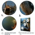 thumbnail image 3 of Designart "Sunrise Portrait Grey Pelican s Morning Watch I" Animals Wall Decor, 3 of 5