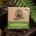 thumbnail image 4 of Dr. Squatch Alpine Sage Natural Bar Soap and Deodorant Holiday Gift Set for Men, 4 of 9