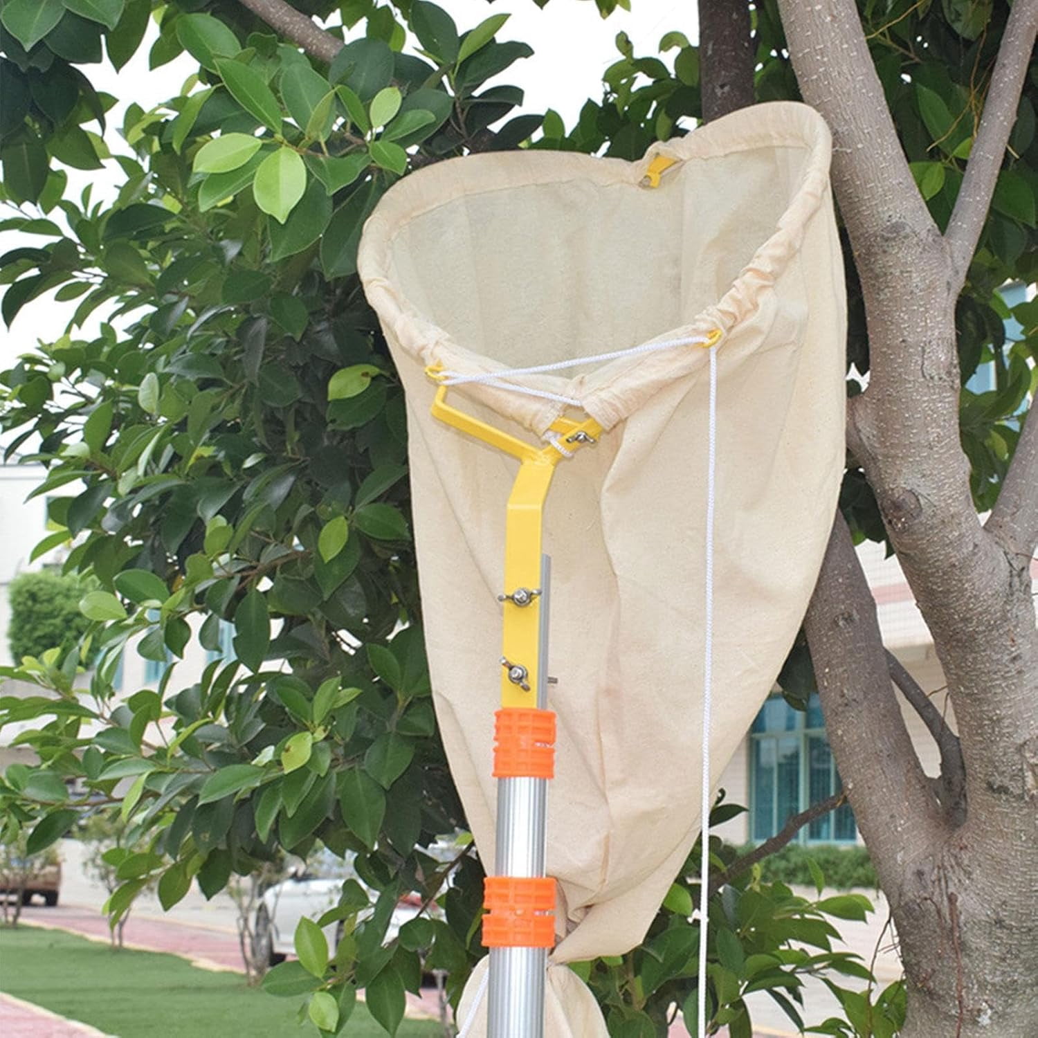 keyasia Bee Catcher Net, Steel Frame Telescopic Swarm Bag, Bee Cage with Lockable Base, Canvas Bee Trap Honeycomb Bag Ultra-Light Recruit Tool for Outdoor Beekeeper for Outdoor Beach