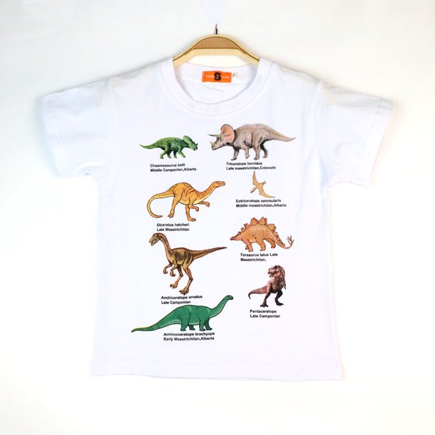 Camisetas de dibujos animados para niños, camiseta con estampado de dinosaurio para niños, camiseta de manga corta de verano para niños, camisetas de algodón, ropa de 3 a 8 años 7T Gao Jinjia LED