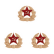 thumbnail image 1 of Broche Esmaltado CCCP URSS Símbolo Antigua Unión Soviética Pines Solapa (estrella Trigo), 1 of 6