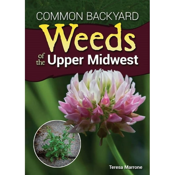 Common Backyard Weeds of the Upper Midwest, (Paperback)