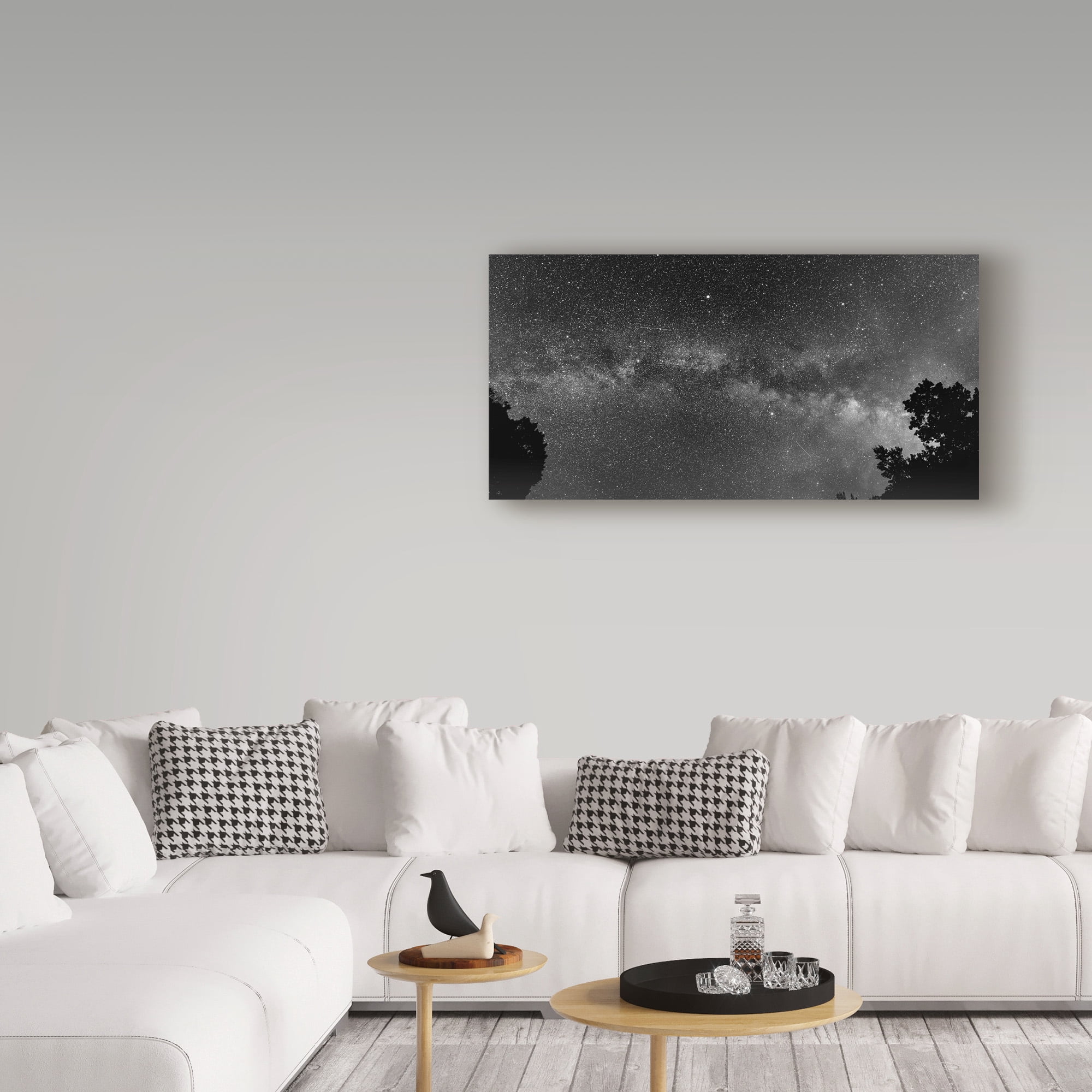 Trademark Fine Art 'Overarching' Canvas Art by Brenda Petrella Photography Llc