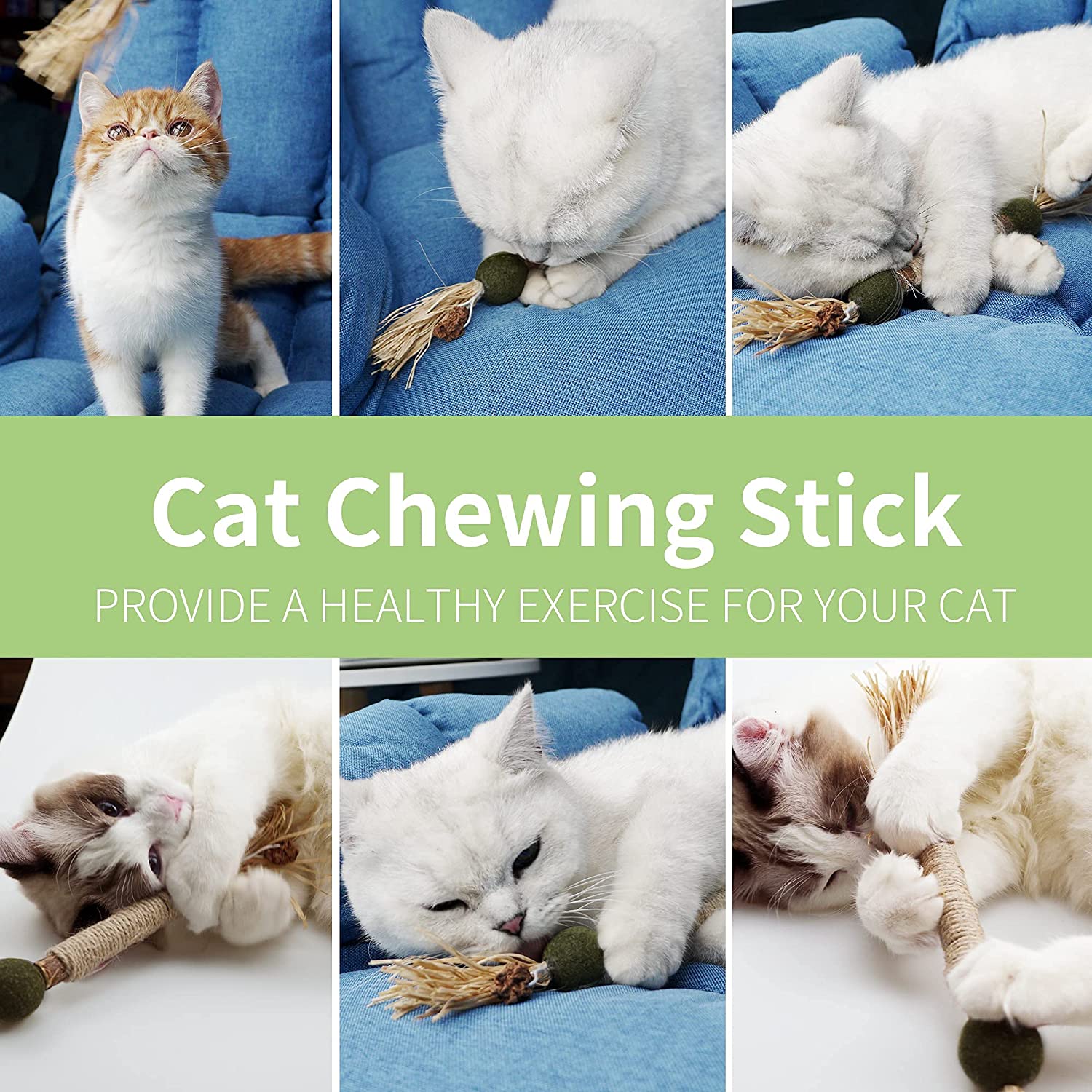 cat kick stick
