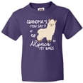 thumbnail image 3 of Inktastic Grandma's You Say Alpaca My Bags Youth T-Shirt, 3 of 5