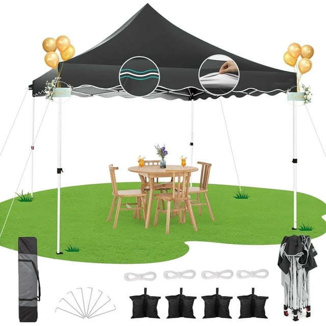 SANOPY 10 x 10 ft Pop-up Canopy Tent, Outdoor Straight Legs Instant Canopy - Black