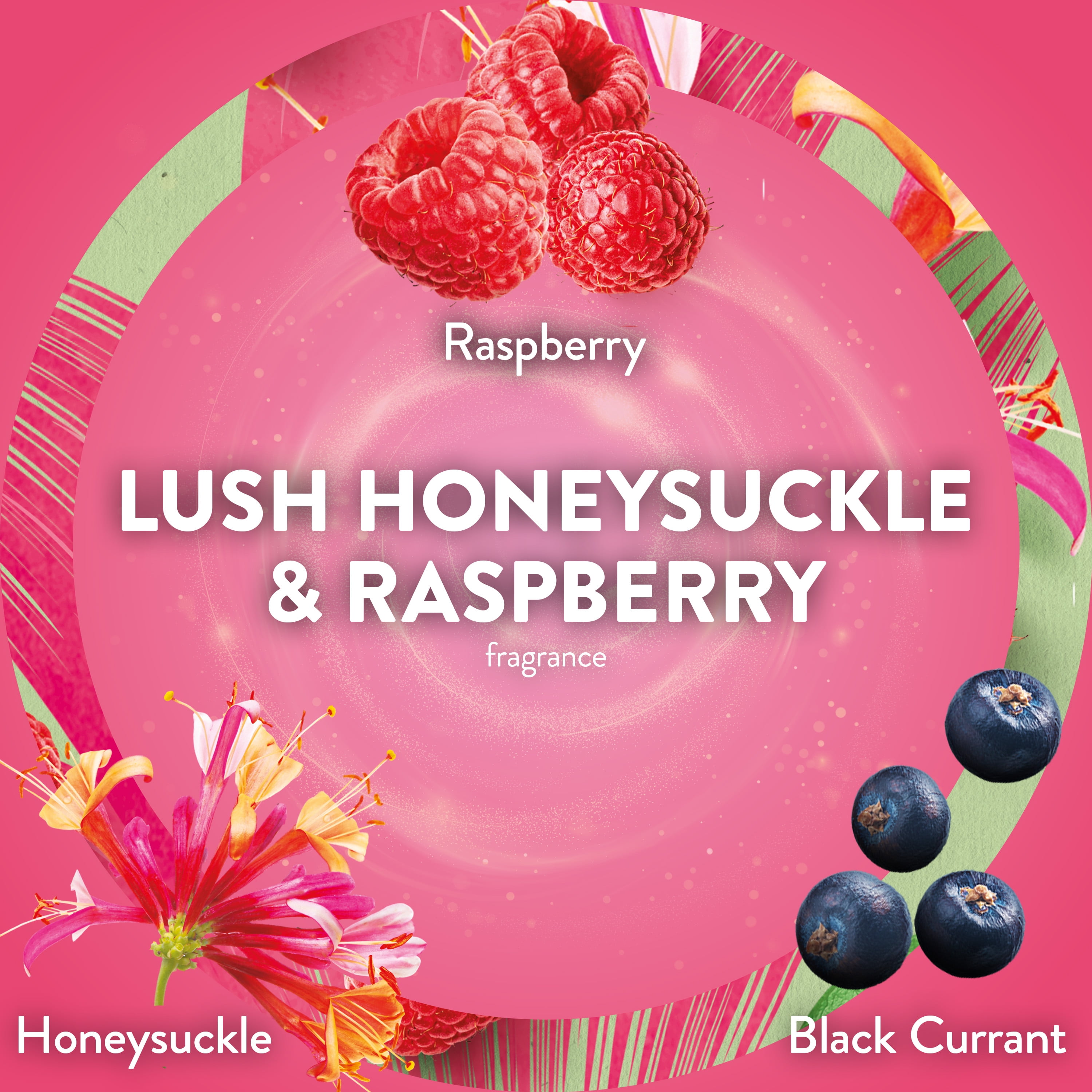 (5 pack) Air Wick Plug-in Scented Oil Refills, Honeysuckle and Raspberry, 4 Count