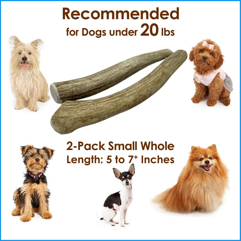 Deluxe Naturals Small Whole Elk Antler Chews, 2 Pack photo 5