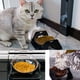 thumbnail image 3 of Laklulu Cuencos para gatos, cuenco elevado para comida y agua con soporte, comedero antideslizante para gatos, comedero para mascotas, 3 of 5