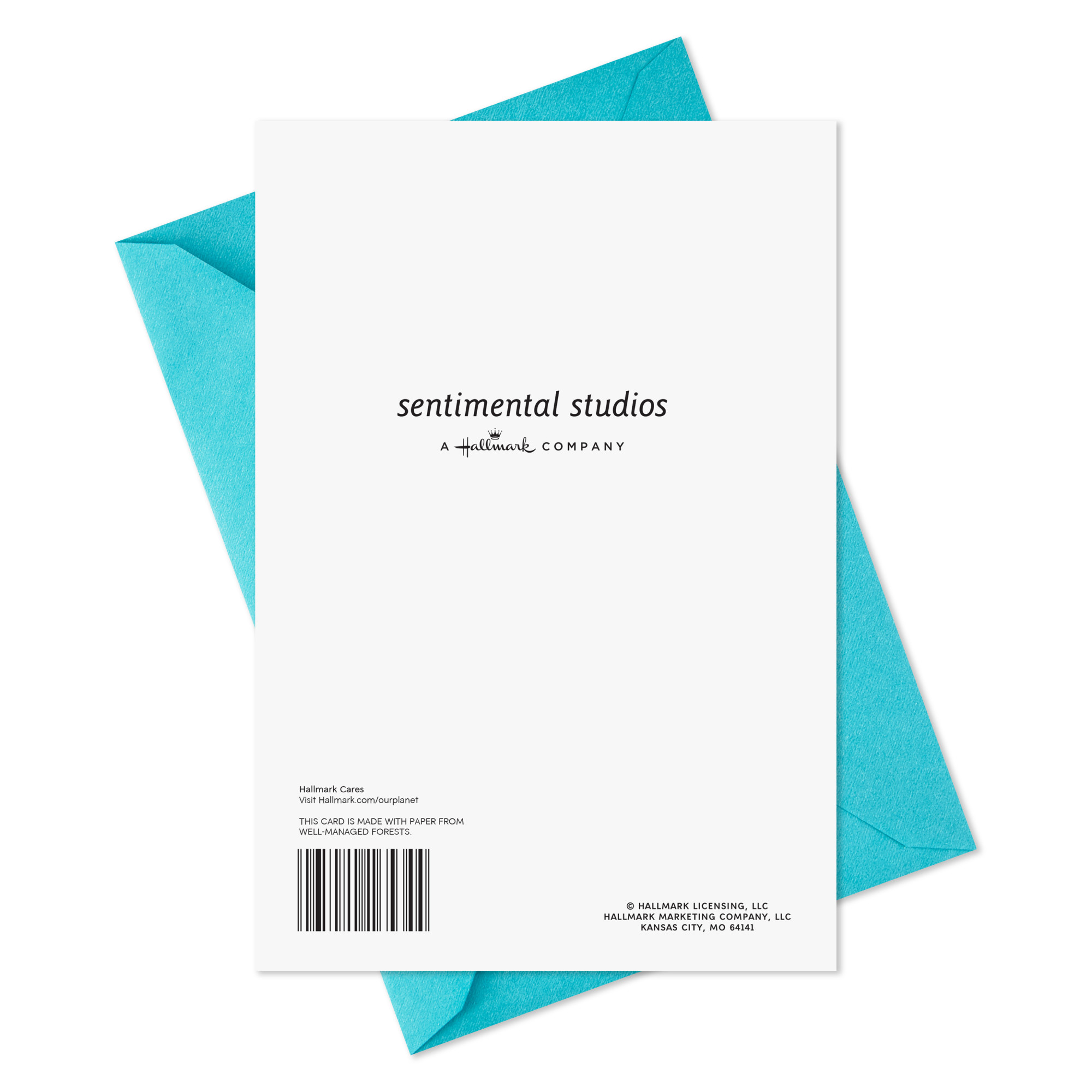 Hallmark 16th Birthday Card (Special Day When You Were Born)