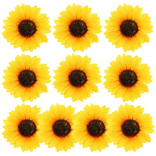 Hai LAN 3 PCS Sunflower Iron On Patches Sunflower Sew On Patches Embroidery  Dres for Clothes Applique Fabric Badges Stickers X7S2 