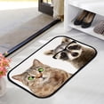 thumbnail image 3 of GZHJMY Bathroom Rugs Mats Non-Slip, Soft Microfiber Absorbent Bath Mats for Shower Bathtubs, Cat Raccoon Cute Indoor Entrance Door Mats Bedroom Laundry 36”x24” Carpet Runner, 3 of 7