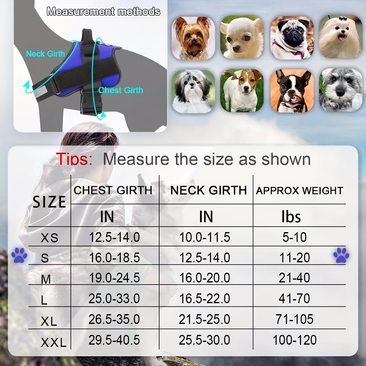 DABEI Reflective No-Pull K9 Dog Harness For Small And Medium Dogs - Comfortable And Secure Pet Harness For Outdoor Activities
