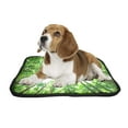 thumbnail image 2 of PKQWTM Spring Green Trees Early Monring Sun Forest Pet Dog Cat Bed Pee Pads Mat Cushion Potty Dogsblankets Crate Bed Kennel 36x48 inch, 2 of 3