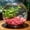 G, variant on 50 Pieces Glow in The Dark Aquarium Stones, Fluorescent Fish Tank Rocks, Luminous Shell Decor for Aquatic Plants, Safe Ambient Lighting for Shrimp and Betta Fish, Neon Aquarium Stones, Army Green