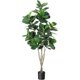 thumbnail image 1 of 6ft artificial multi-stem fiddle leaf ficus tree: fake green tree con pot para indoor y outdoor home, oficina, sala de estar, y bathroom decoration, 1 of 5