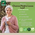 thumbnail image 4 of Chanca Piedra Loose Leaf 1.4oz - Stonebreaker Herbal Tea 40g Dried Vegan Leaves 100% Natural Chancapiedra Grown in Peru by Hanan, 4 of 9