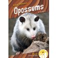 thumbnail image 1 of Pre-Owned Opossums (Paperback) 1644947625 9781644947623, 1 of 1