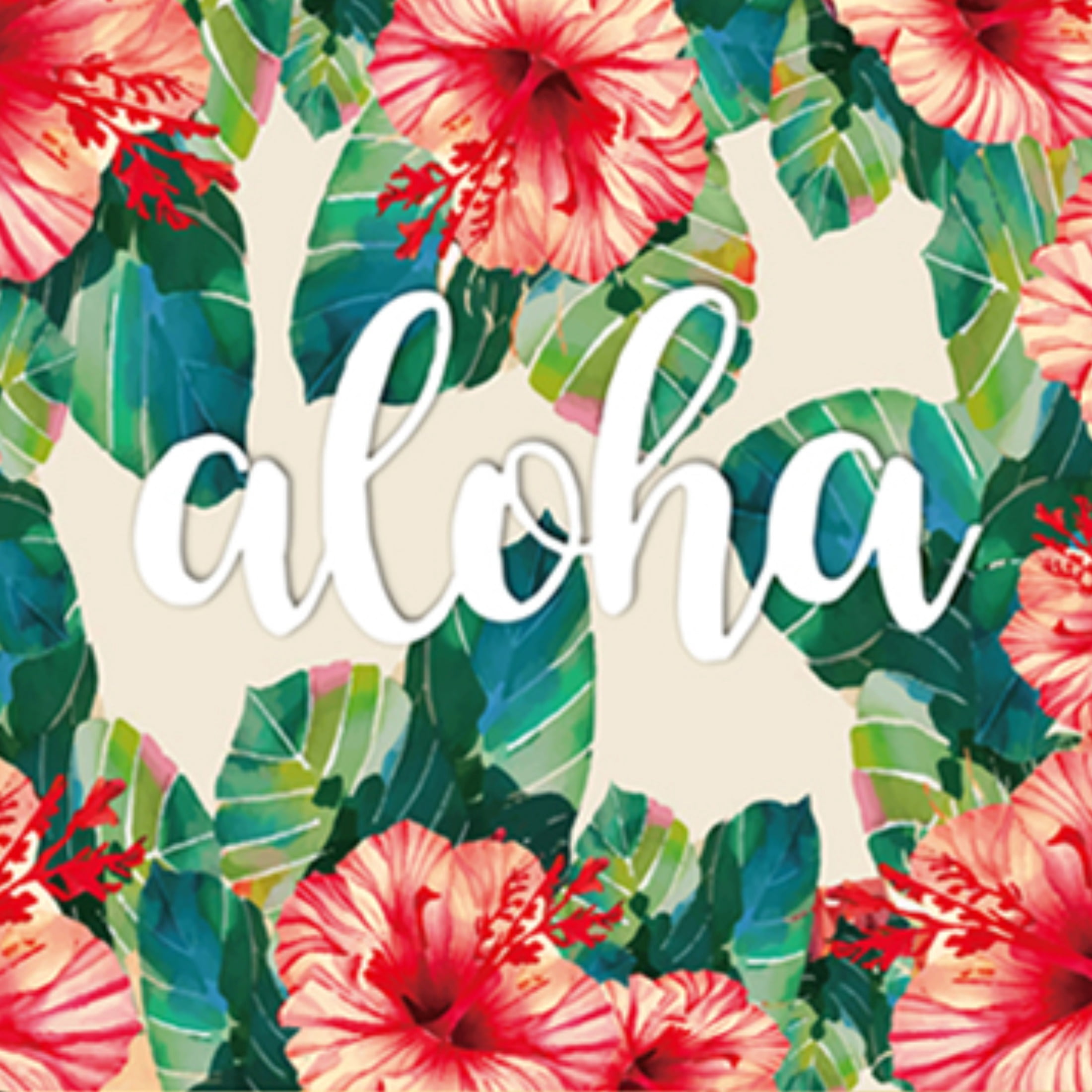 SOUVENIR COASTER Aloha Coaster 2pc Hawaii Pink