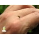 thumbnail image 3 of Repelente de Insectos Herbolare Fly Away 125 ml Natural para Toda la Familia, 3 of 3