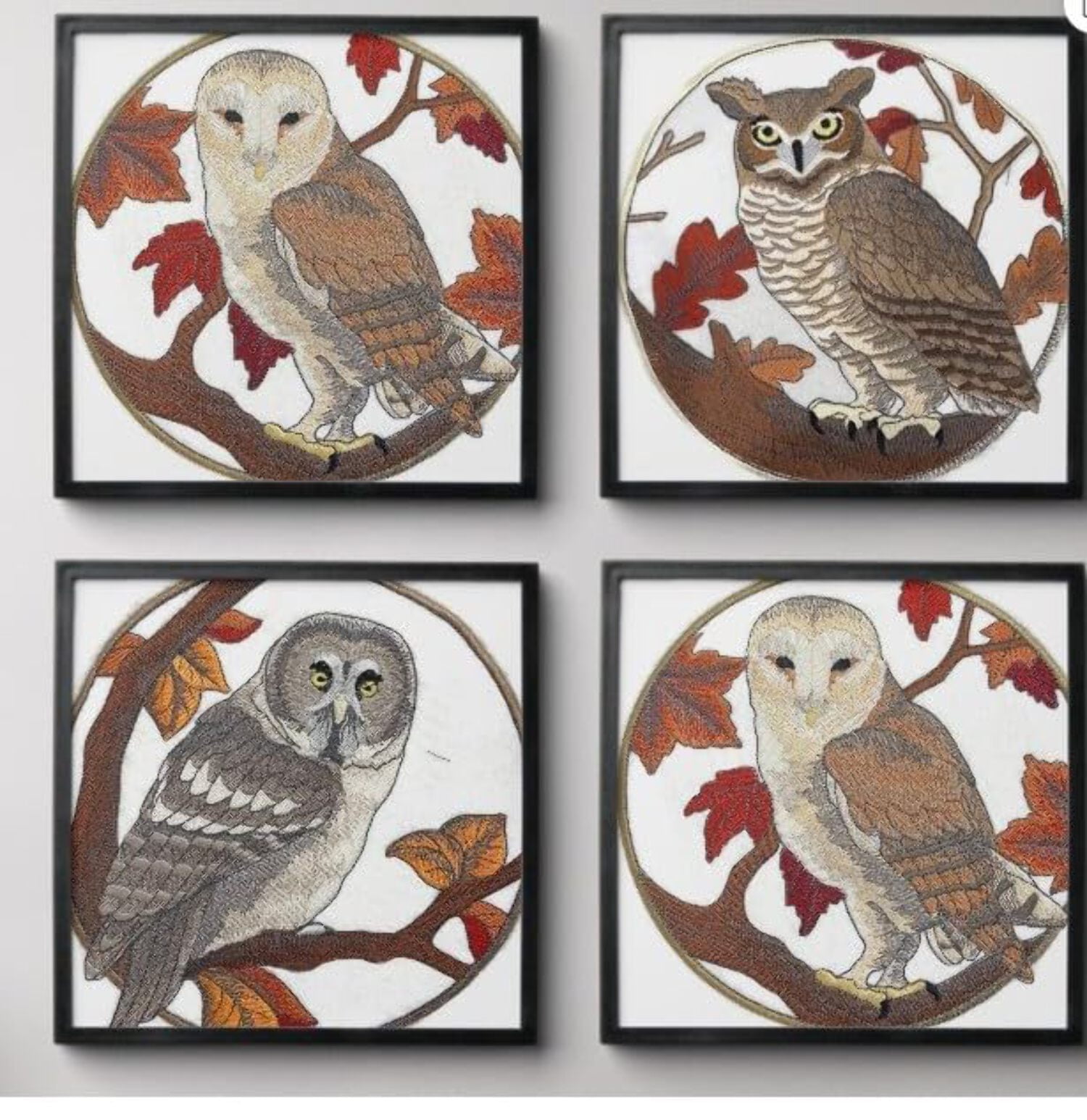 Beyond Vision Custom Birds [Barn Owl in Autumn ] Embroidered Iron on/Sew Patch (6.92" x 6.91")