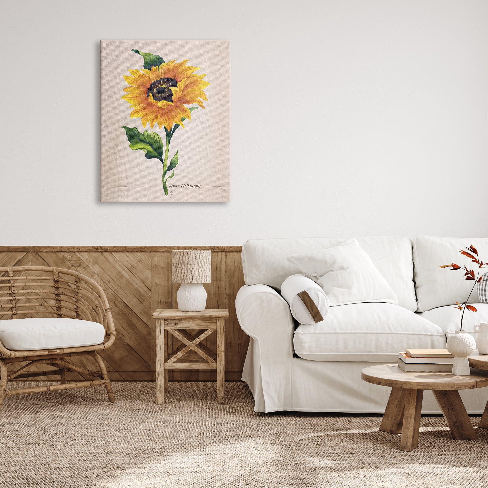 Stupell Industries Single Sunflower Blossom Genus Name Study Page Graphic Art Gallery Wrapped Canvas Print Wall Art, Design by Elizabeth Medley