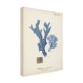 thumbnail image 2 of Johann Esper 'Antique Coral in Navy I' Canvas Art, 2 of 3