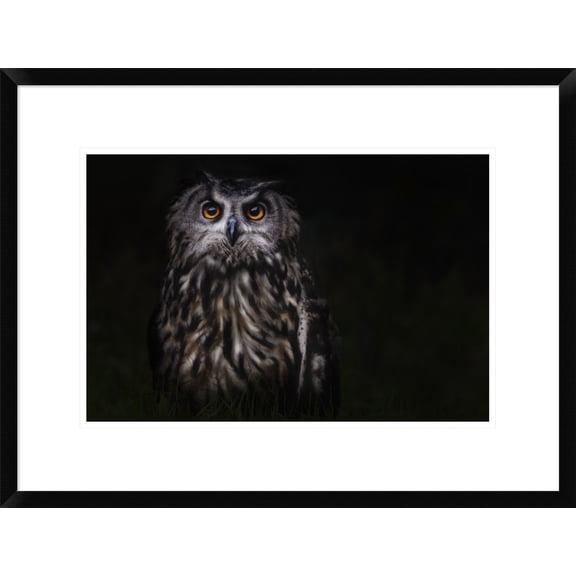 Global Gallery Martine Benezech 'Prince Of The Night' Framed Wall Art