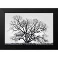 thumbnail image 2 of Perry, Rachel 14x11 Black Modern Framed Museum Art Print Titled - Grand Oak Tree I, 2 of 5