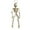 S, variant on Life-Size Poseable Halloween Skeleton with Flexible Joints, Sturdy Indoor/Outdoor Party Decor