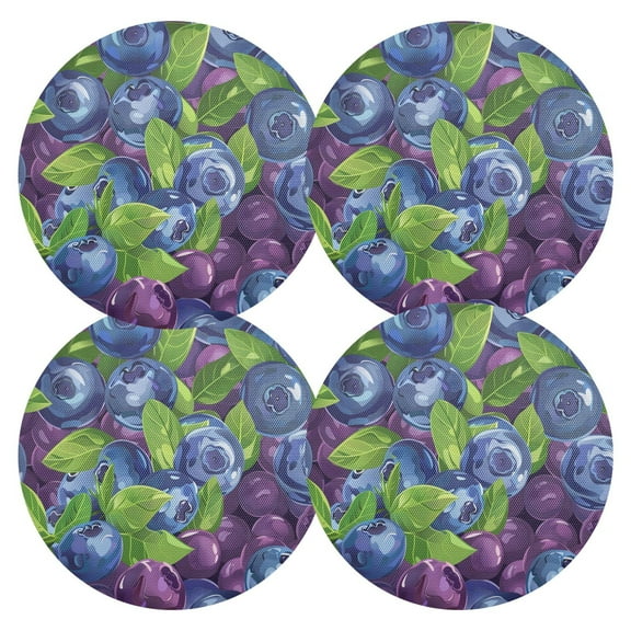 Ryvnso Blueberries Berries Round Plate Mats Dining Table Placemat Set of 4 for Holiday Decoration