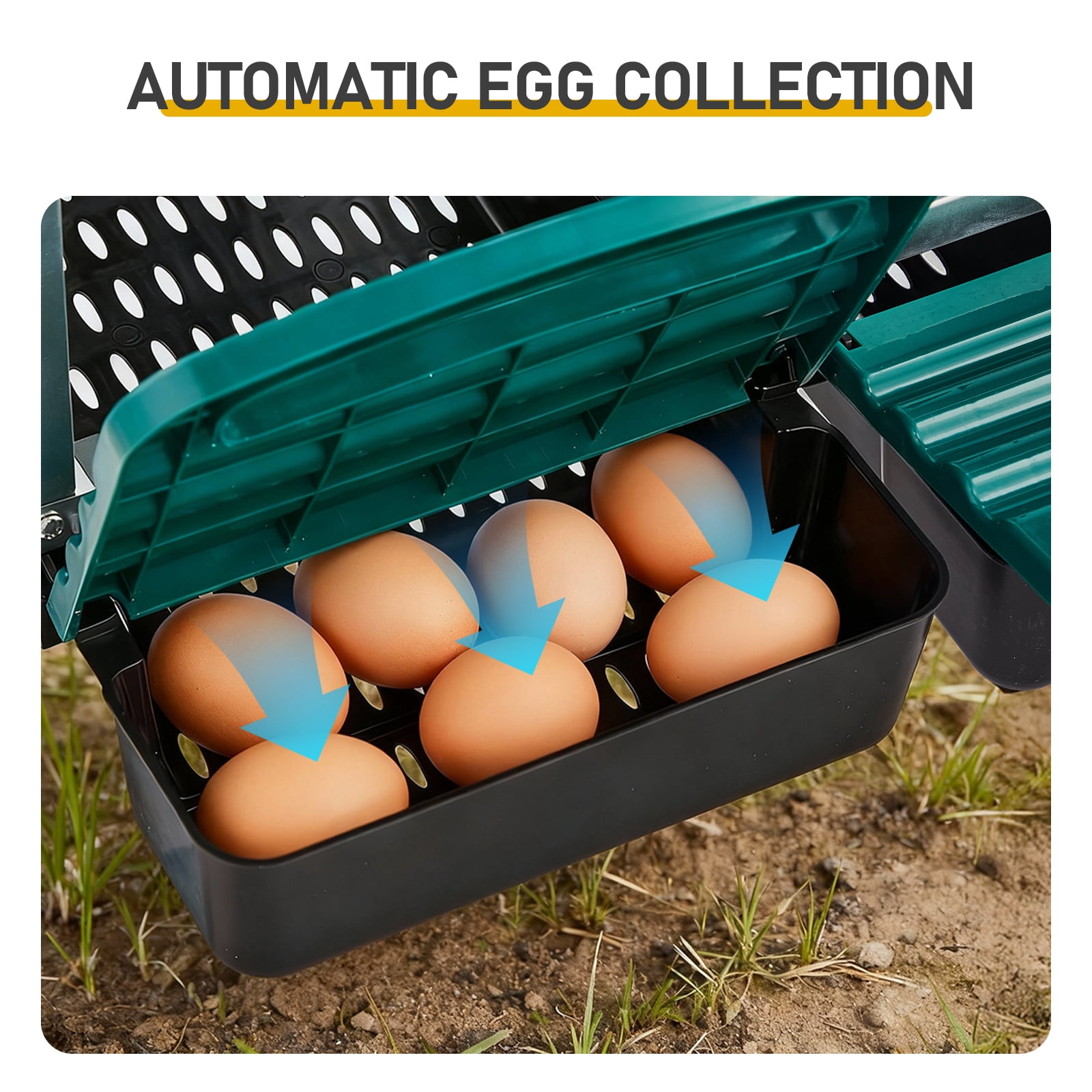 Chicken Nesting Box, 3 Compartment Nesting Box for Laying Eggs, Wall Mount Chicken Brooder Box with Perch, Easy Egg Collection, Cleanable Pull Out Hen Roosting Boxes, 3 Holes, Green