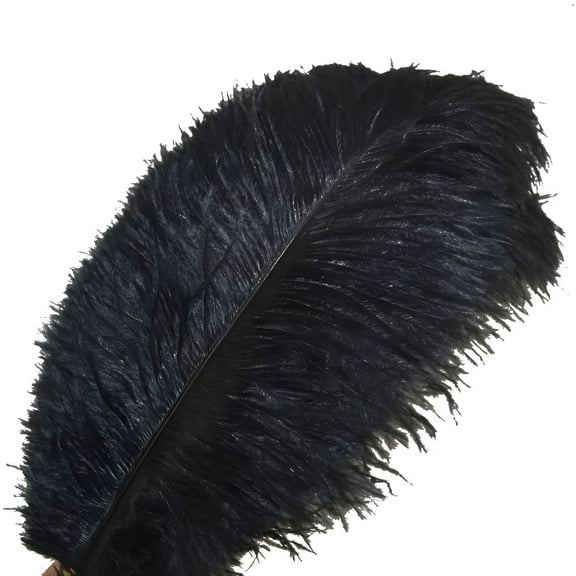 VANIDO 30-35Cm Ostrich Craft Feathers (10 Pack)