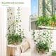 thumbnail image 5 of Clips De Soporte Para Plantas Trepadoras, 10 Uds., Clips De Pared Autoadhesivos, Clip Para Plantas Trepadoras Para Plantas De Interior Y Exterior matsuzay  HA035226-00, 5 of 6