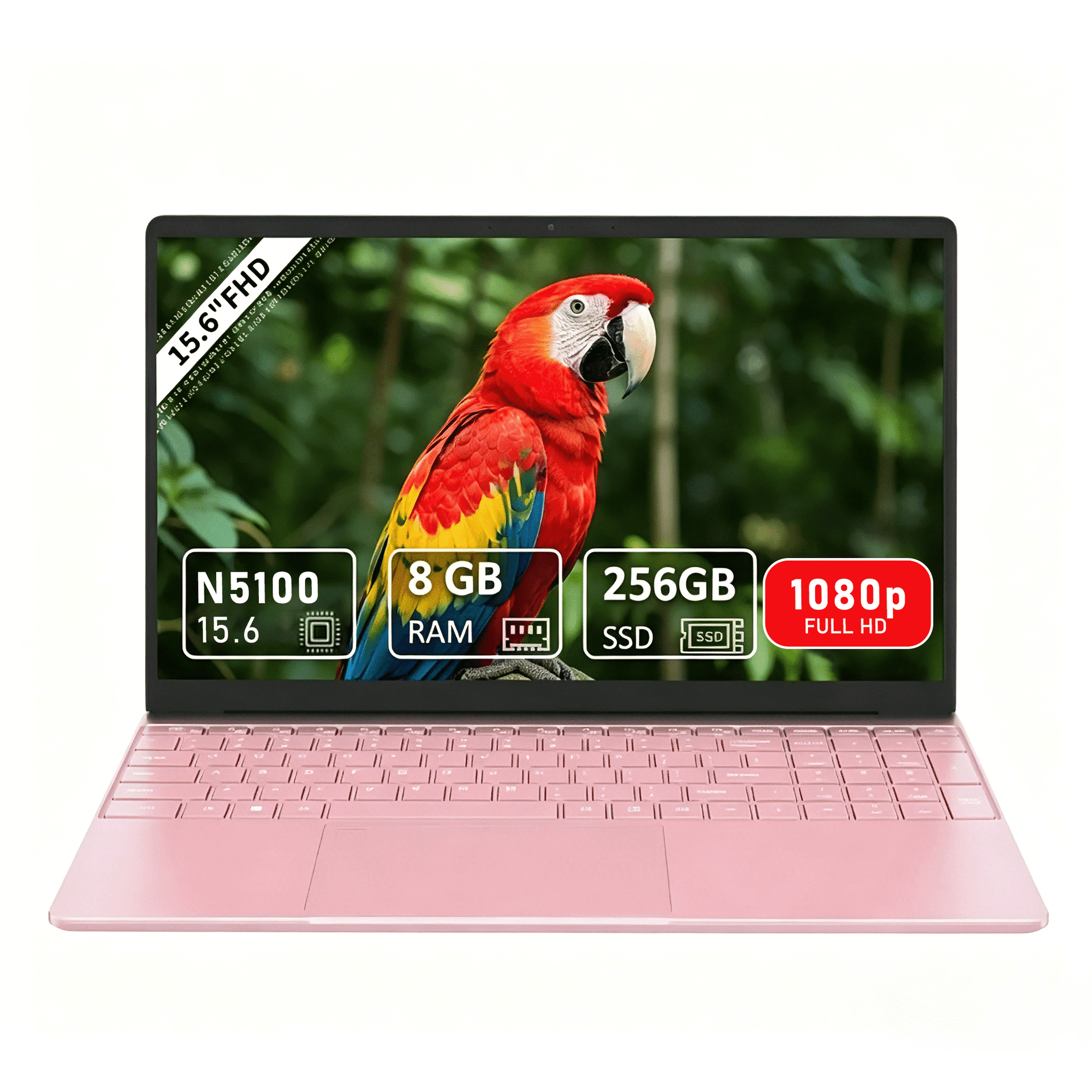 Molegar 15.6" FHD Business Laptop, Intel Celeron N5100, 8GB RAM, 256GB SSD, Backlit Keyboard, Fingerprint Reader, Bluetooth 5.0,Pink